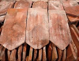 Biberschwanz ArtNr.923