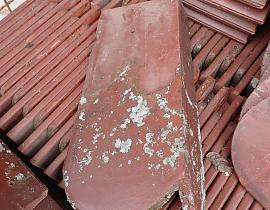 Biber Ortgang ArtNr.1180