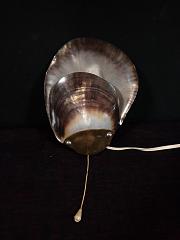 Muschelleuchte mit Messinganteil, Wandleuchte aus Muscheln, ca. B 17,5 x H 22 cm