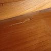 Wohnschrank ArtNr.4382