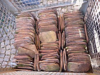 Turmbiber ArtNr.4780