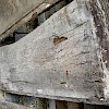 Treppenstufen aus Eiche B ca. 80cm Art.Nr.: 761