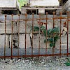 Zaun mit leichter Steigung-Artnr.682
