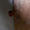 Holzfensterläden Art.Nr.1520