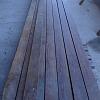 Pitch Pine Art Nr.: 1662
