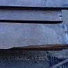 Pitch Pine Art Nr.: 1662