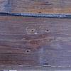 Pitch Pine Art Nr.: 1662