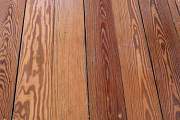 Mehr Pitch Pine