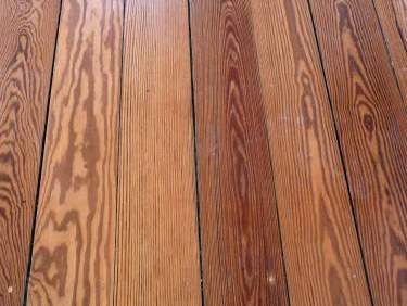 Mehr Pitch Pine