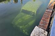 Ein neues Zuhause für die Fische